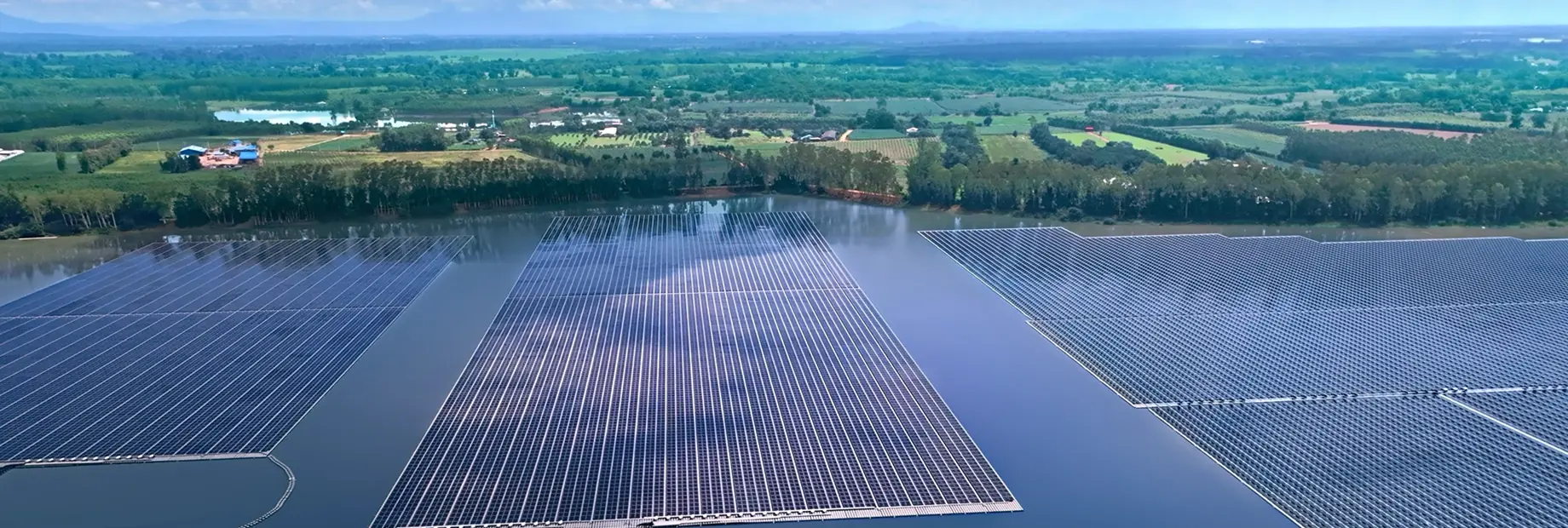 Tree planting sustainability