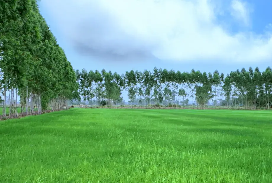 Sustainability Since Day 1